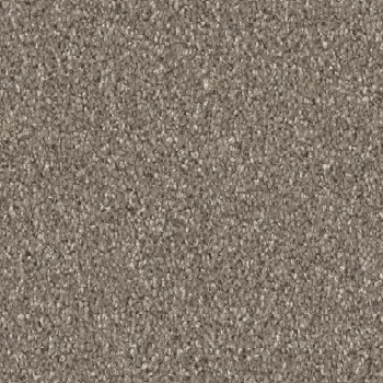 Preview: Vorwerk Luana Teppichboden beige – rechteckige Draufsicht